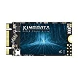 KINGDATA SSD M.2 2242 256GB Ngff Internal Solid State Drive 1TB 500GB 250GB 120GB for Desktop Laptops SATA III 6Gb/s High Performance Hard Drive (256GB, M.2 2242)