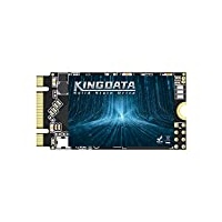 KINGDATA SSD M.2 2242 256GB Ngff Internal Solid State Drive 1TB 500GB 250GB 120GB for Desktop Laptops SATA III 6Gb/s High Performance Hard Drive (256GB, M.2 2242)