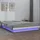 vidaXL Bettgestell mit LED 160 x 200 cm weiß
