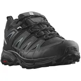 Salomon X Ultra Pioneer GTX Herren Black/Magnet/Bluesteel 40 2/3
