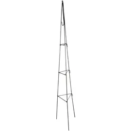 WINDHAGER Rankturm Pyramide 26 x 150 cm Grün