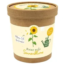 Brunnen Verlag Gießen Meine erste Sonnenblume
