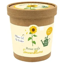 Brunnen Verlag Gießen Meine erste Sonnenblume