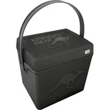 Kängabox Thermobox Trip, 20 l