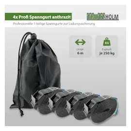 Baumarktplus 4x Profi Spanngurt Gurt Zurrgurt Klemmschloss Auto 1-tlg 6m 250 kg Anthrazit |