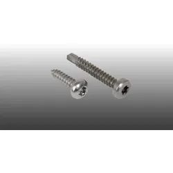 Edelstahlschraube, TX-Antrieb - Selbstbohrende 4,8 x 32 mm Torxschraube für Stegplatten-Montage