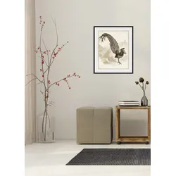 queence Bild »Lulu«, Vögel-Vogelbilder-historische Ereignisse-Kunst, (1 St.), HD Premium Poster-Druck inkl. Holzrahmen queence Farbe Rahmen: schwarz + Farbe Bild(er): grau