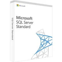 Microsoft SQL Server 2019 - 1 User CAL