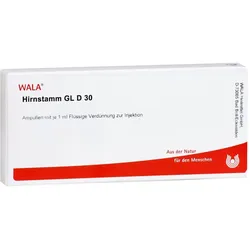 Hirnstamm Gl D30
