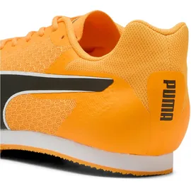 Puma Evospeed Star 9 Herren Sun Stream/Puma Black/Puma White 40
