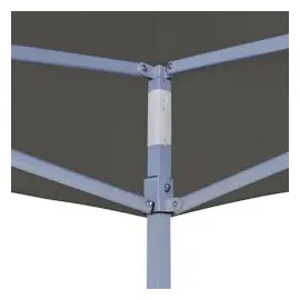 vidaXL Profi-Partyzelt 2 x 2 m Anthrazit