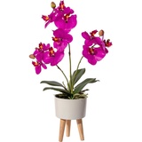 Creativ green Kunstorchidee »Orchidee Phalaenopsis in Keramikschale«, lila