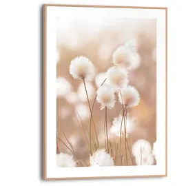Reinders! Bild Cotton Pops", (BHT 30x40x1.60 cm) - bunt - BHT 30x40x1.60 cm