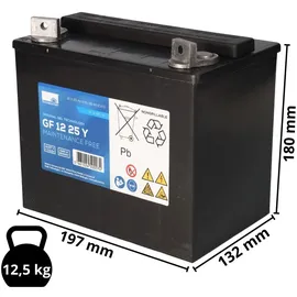 Sonnenschein / Exide Wirbel Rapid 15 BC 12V 25000 mAh 1 St.