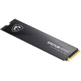 MSI SPATIUM M560 SSD M.2 - Black