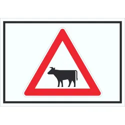Schild Achtung Viehbetrieb Tiere Symbole A0 (841x1189mm)