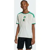 adidas Algerien Trikot 2026