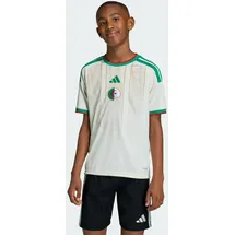adidas Algerien Heimtrikot 2026 Kinder Gr. 176