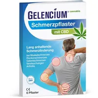 Heilpflanzenwohl Gelencium Schmerzpflaster