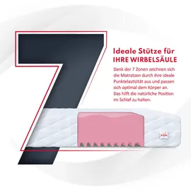 Fdm 7-Zonen Kaltschaum 80 x 200 cm H2/H3