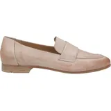 LLOYD (13-710) NATURE