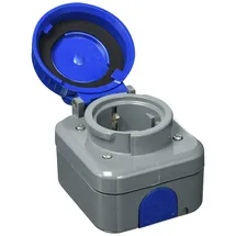 Busch-Jaeger Steckdose 2-polig 2300 EWDI