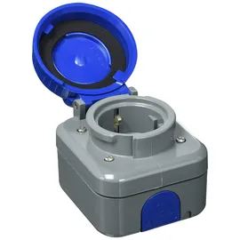 Busch-Jaeger Steckdose 2-polig 2300 EWDI