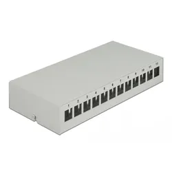 Delock Leeres Keystone-Patchpanel - geeignet für Wandmontage, DIN schienenmontie