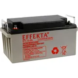 EFFEKTA BTL 12-65L 12V 65Ah 1 St.