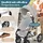 Kesser Loops 3 in 1 grau/silber