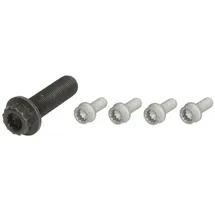 Continental CTAM Schraubensatz, Riemenscheibe-Kurbelwelle MS51