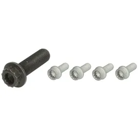 Continental CTAM Schraubensatz, Riemenscheibe-Kurbelwelle MS51