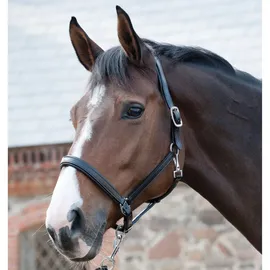 Catago Lederhalfter Pony Schwarz
