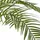 Creativ green künstliche Pflanze Macauba-Palme, ca 235cm