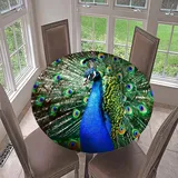 Morbuy Rund Tischdecke Elastisch, 3D Tierdruck Rund Tischdecken Wasserdicht Lotuseffekt Abwaschbar Abwischbar Tischtuch für Dekoration Küchentisch Garten Outdoor (Durchmesser 110cm,Pfau)