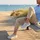 HEYDUDE Wally Stretch Sox Herren Dawn Blue/Multi 46