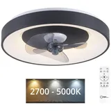 just light. Venika 1 x LED-Board 36 W rund schwarz