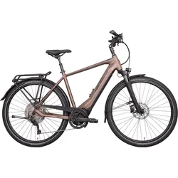 Hercules Pasero Sport I-10 Braun Modell Aktion
