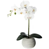 Atmosphera - Künstliche Orchidee - Zementtopf - H53 cm - Grau