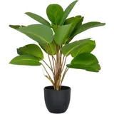 Creativ green Kunstpflanze CREATIV GREEN "Philodendron", grün, H:45cm, Kunststoff, Kunstpflanzen, Kunstpflanze, mit naturgetreuem Blattwerk