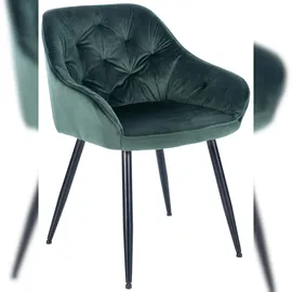 CLP 2er Set Esszimmerstühle Cassis Samtbezug I Gesteppte Polsterstühle mit Rückenlehnen I Stabile Küchenstühle mit Bodenschonern