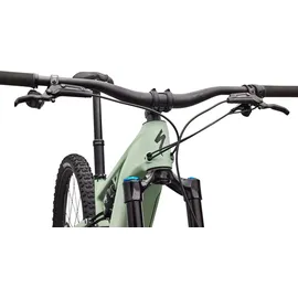 Specialized Turbo Levo R Expert 2026 29 Zoll RH 54 cm grün/mint/khaki