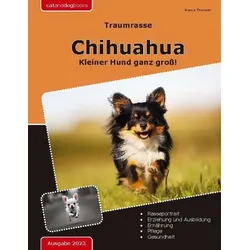 Traumrasse: Chihuahua