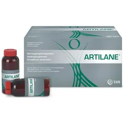 ARTILANE Trinkampullen 15 St Trinkampullen