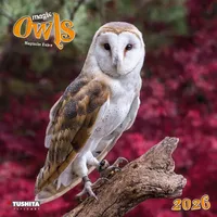 Tushita paperart Magic Owls 2026