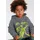 Kidsworld Kapuzensweatshirt "DINO", Jungen, Gr. 104/110, grau (anthrazit), angeraute Sweatware, Obermaterial: 100% Baumwolle.