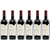 Paladin Drago Rosso Merlot 6 x 0,75 l