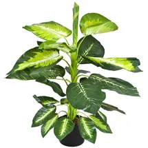 Decovego Kunstpflanze Dieffenbachie, im Topf, Höhe 75 cm