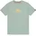 Alpha Industries Basic T frost grün XXL