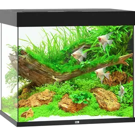 JUWEL Lido 200 LED Aquarium-Set ohne Unterschrank, schwarz,